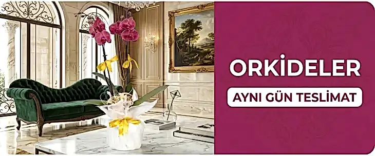 Çiçek Gönder & Online Çiçek Siparişi