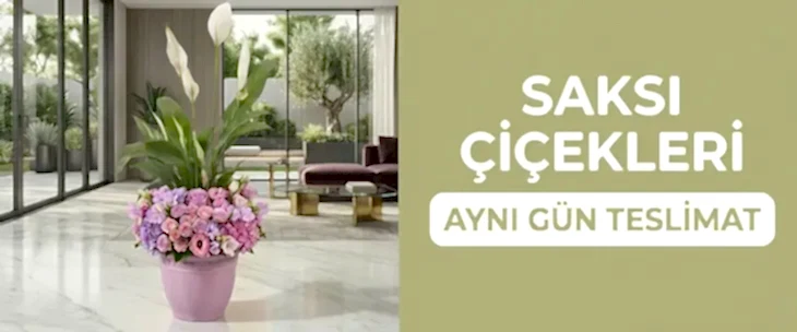 Çiçek Gönder & Online Çiçek Siparişi